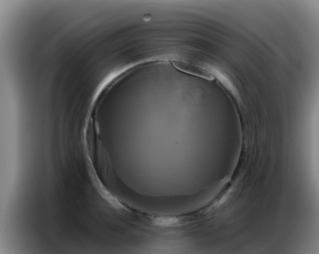 X0000086790944200704201841