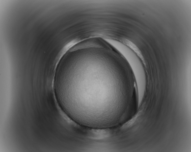 X0000086790946200704201841