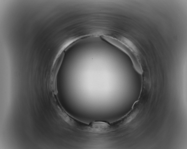 X0000086790948200704201841