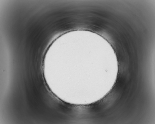 X0000086790950200704201841