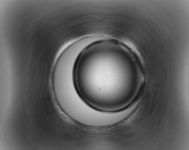 X0000086790952200704201841