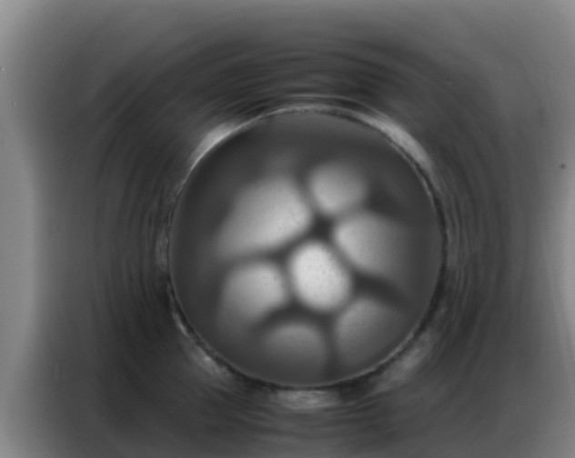 X0000086790953200704201841