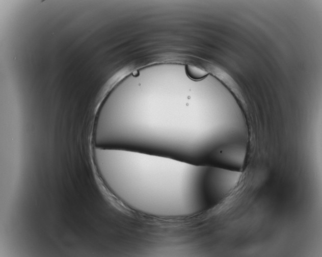 X0000086790954200704201841