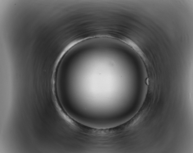 X0000086790955200704201841