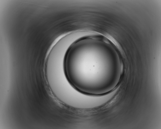 X0000086790956200704201841