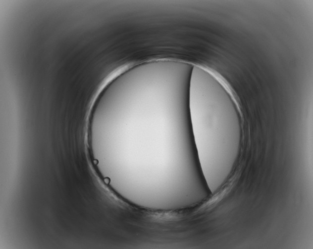 X0000086790957200704201841