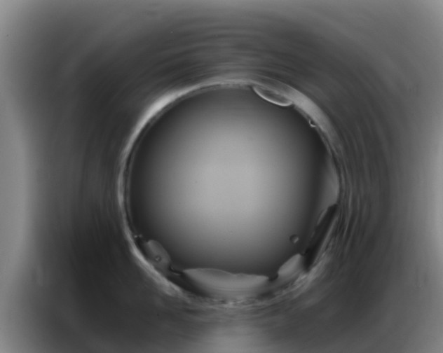 X0000086790958200704201841