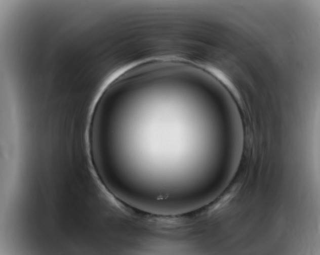 X0000086790959200704201841