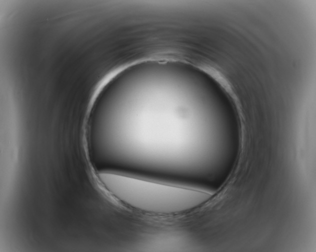X0000086790960200704201841