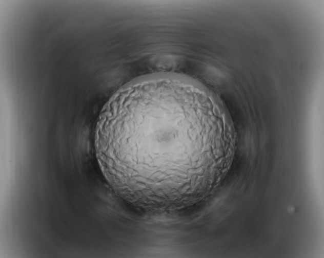 X0000086790962200704201840