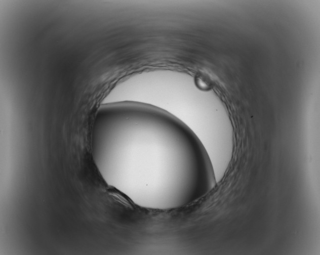 X0000086790965200704201840