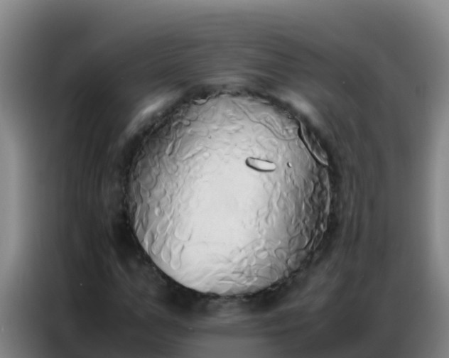 X0000086790967200704201840