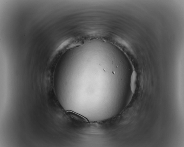 X0000086790968200704201840