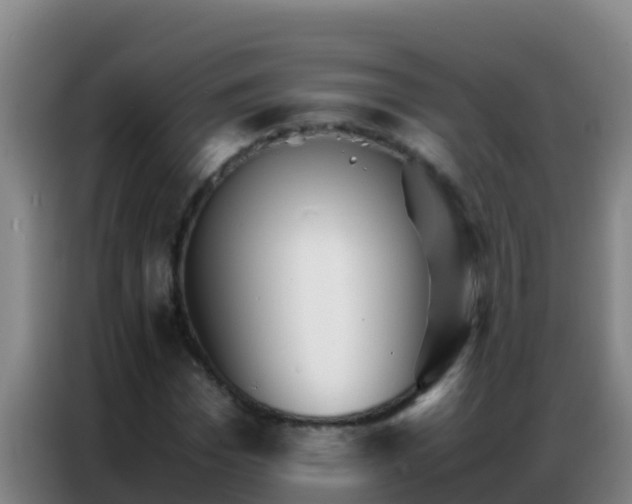 X0000086790969200704201840