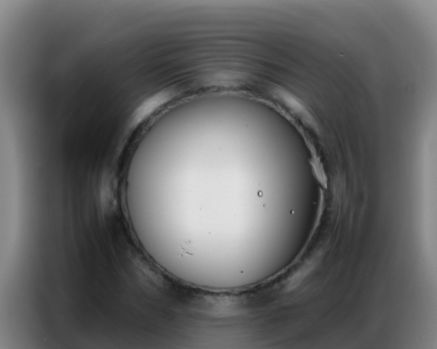 X0000086790970200704201840