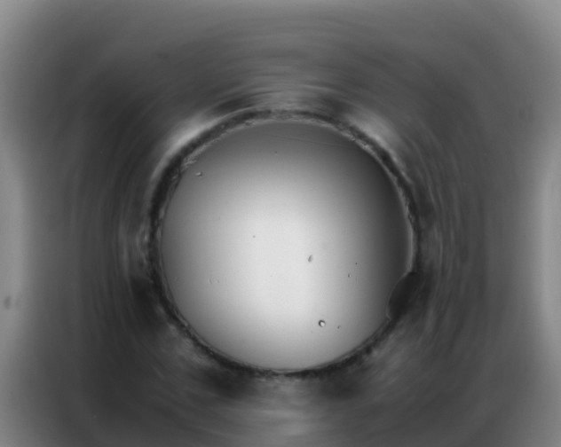 X0000086790971200704201840