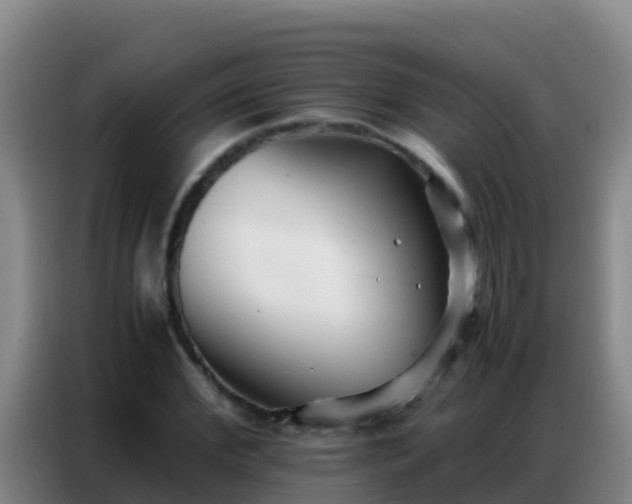 X0000086790972200704201840