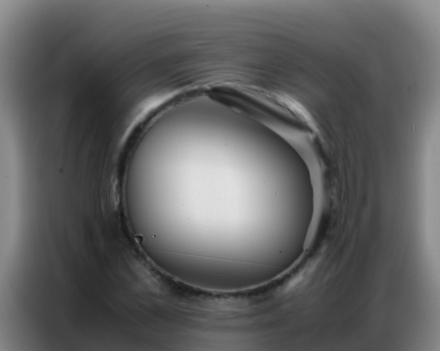 X0000086790973200704201840