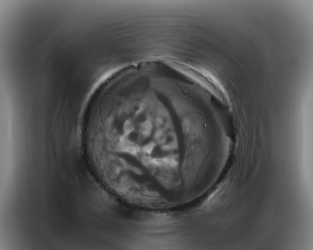 X0000086790975200704201840
