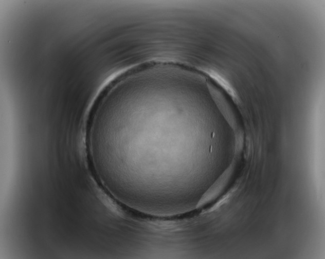 X0000086790976200704201840