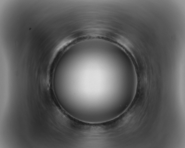 X0000086790979200704201840