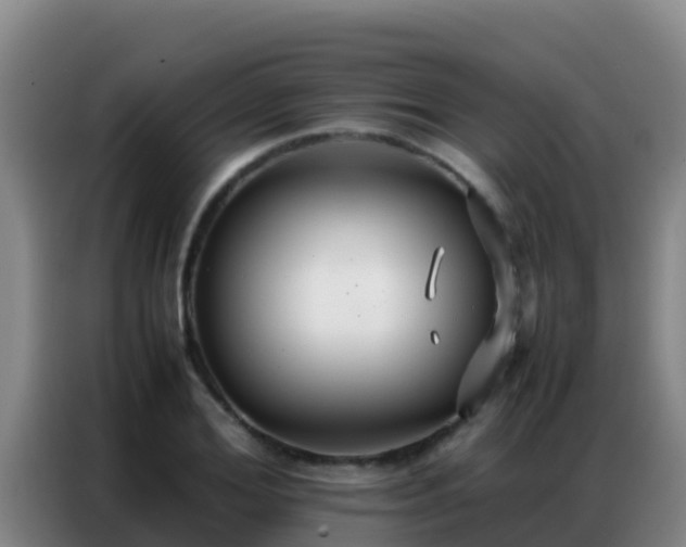 X0000086790980200704201840