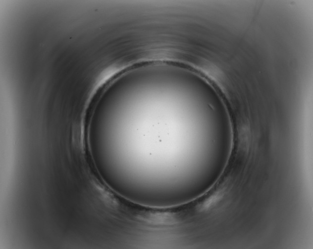 X0000086790982200704201840