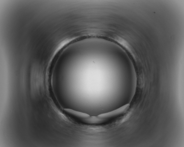 X0000086790983200704201840