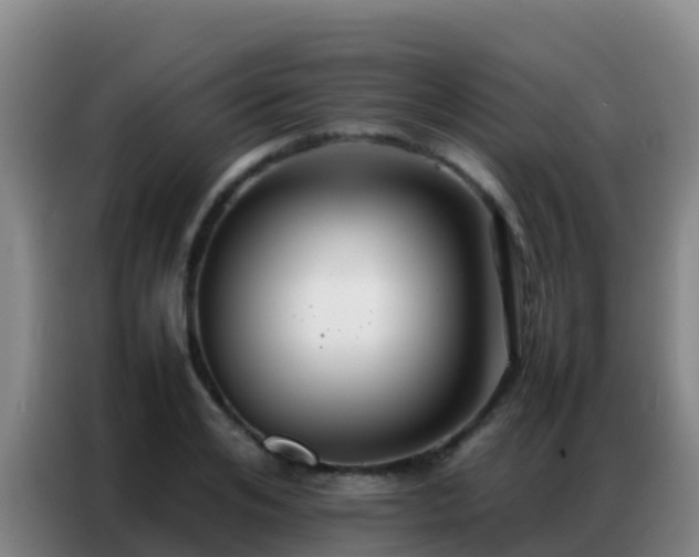 X0000086790984200704201840