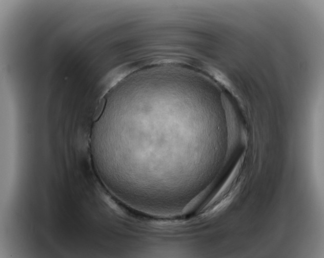 X0000086790985200704201840