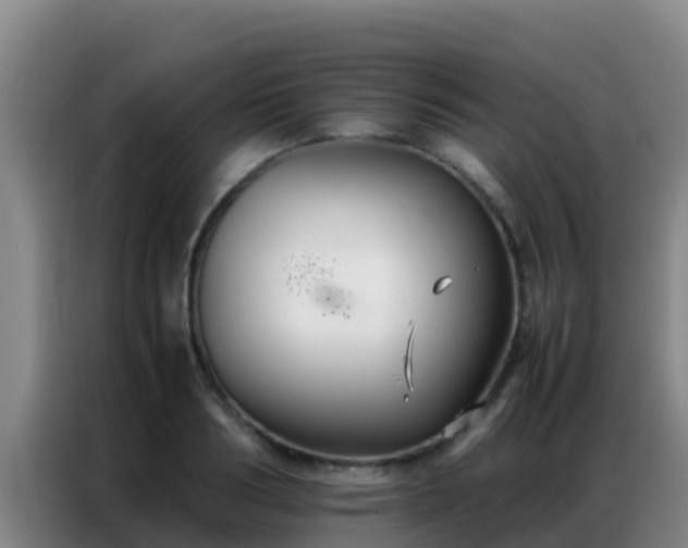 X0000086790986200704201840