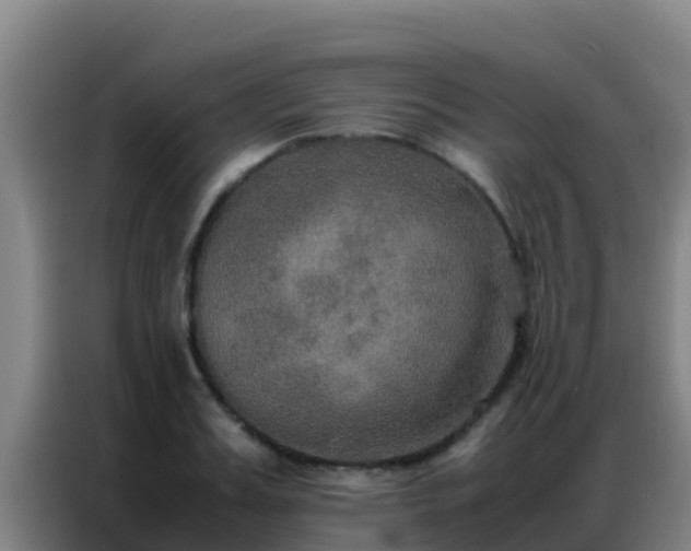 X0000086790987200704201840