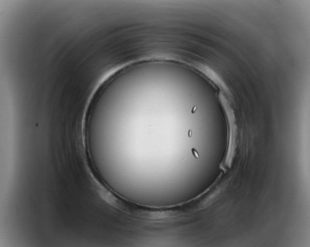X0000086790988200704201840