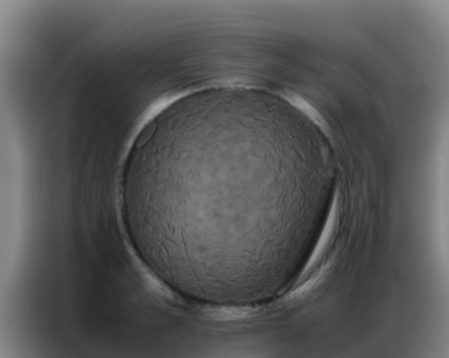 X0000086790989200704201840