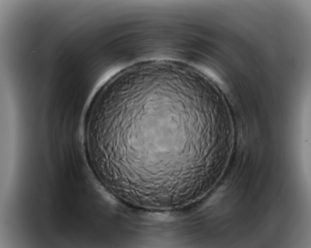 X0000086790990200704201840