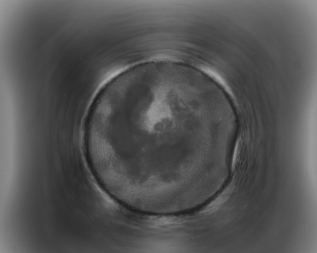 X0000086790991200704201840