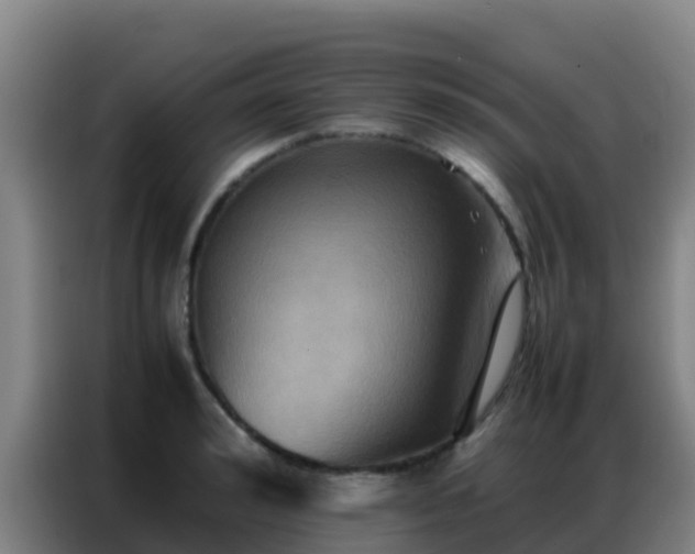 X0000086790992200704201840
