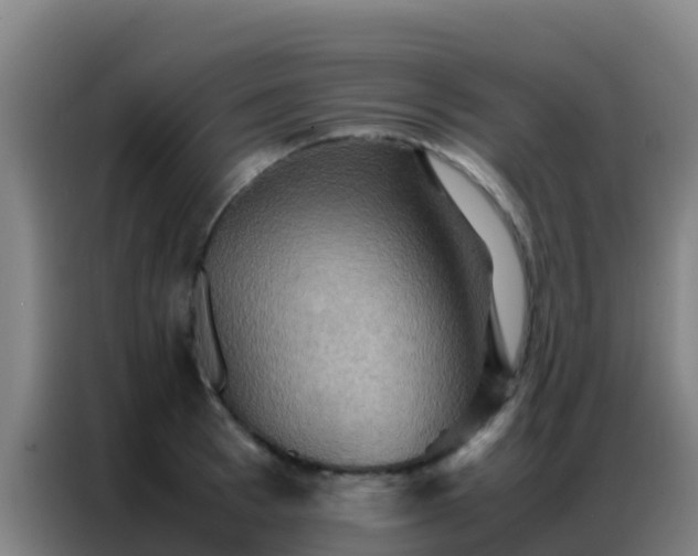 X0000086790993200704201840