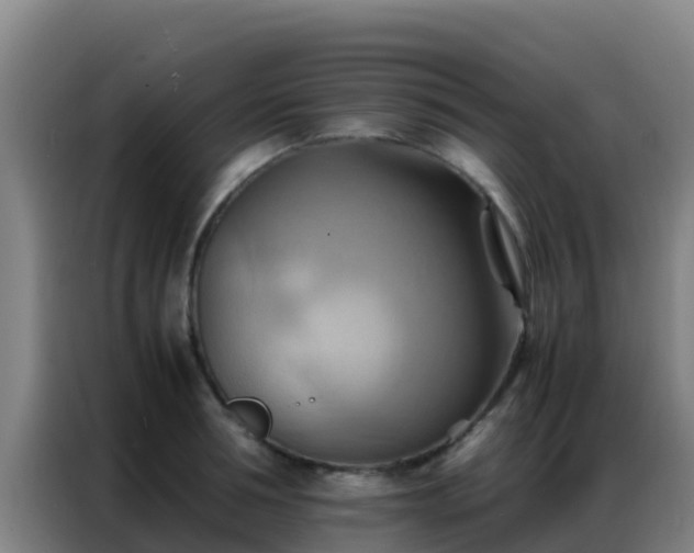 X0000086790994200704201840