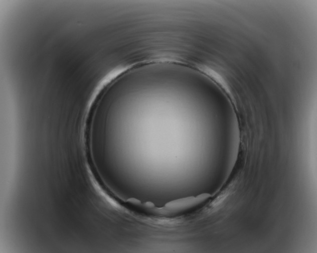 X0000086790995200704201840