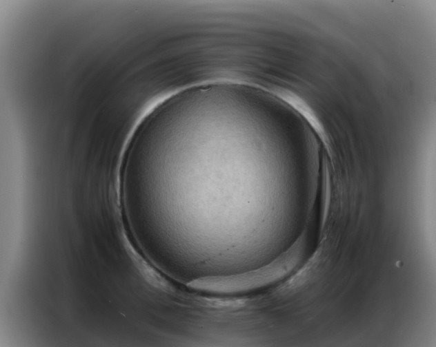 X0000086790996200704201840