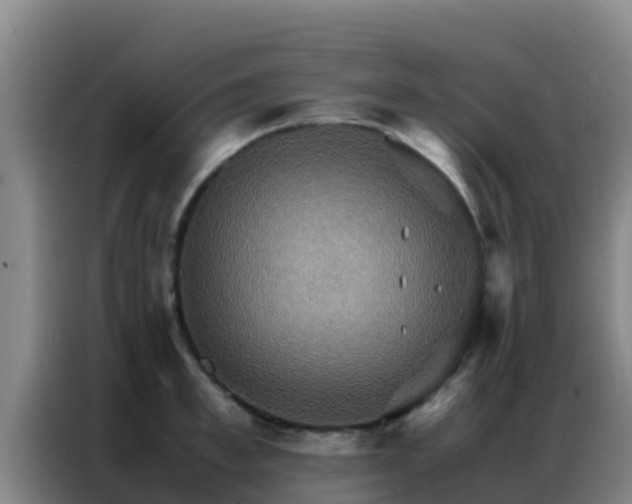 X0000086790997200704201840