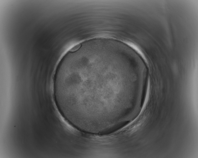 X0000086790999200704201840