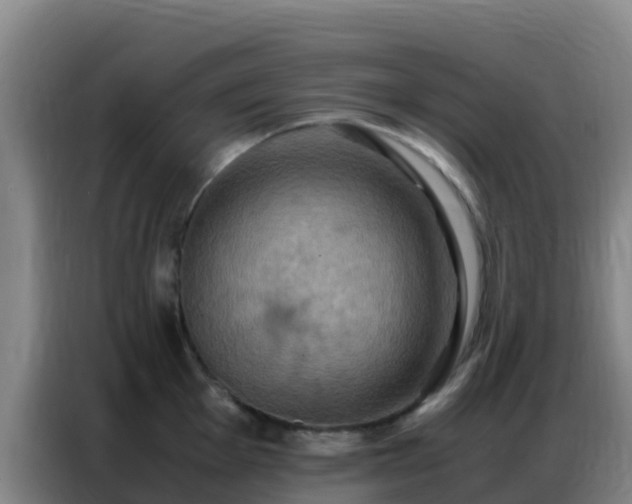 X0000086791001200704201840