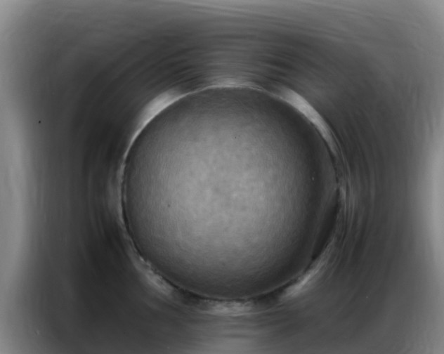 X0000086791002200704201840