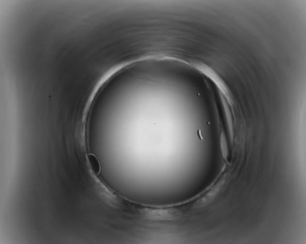 X0000086791004200704201840