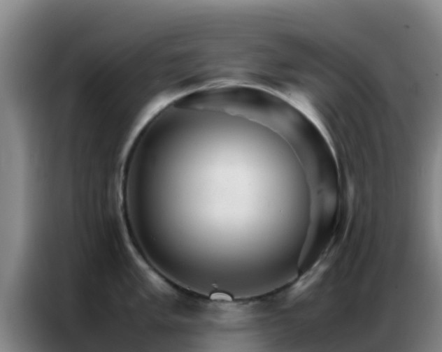 X0000086791005200704201840