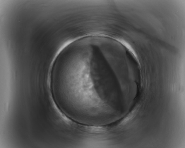 X0000086791007200704201840
