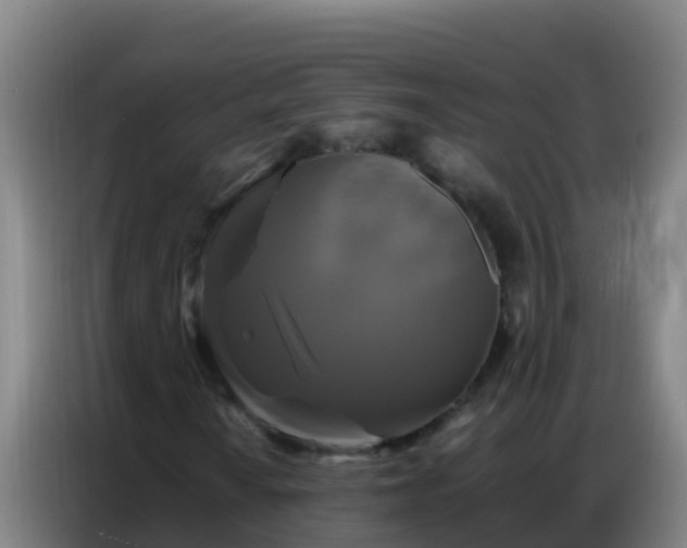 X0000086791010200704201839