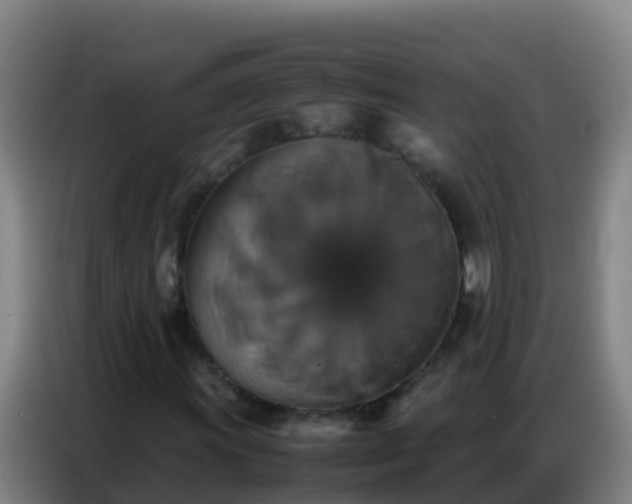 X0000086791011200704201839